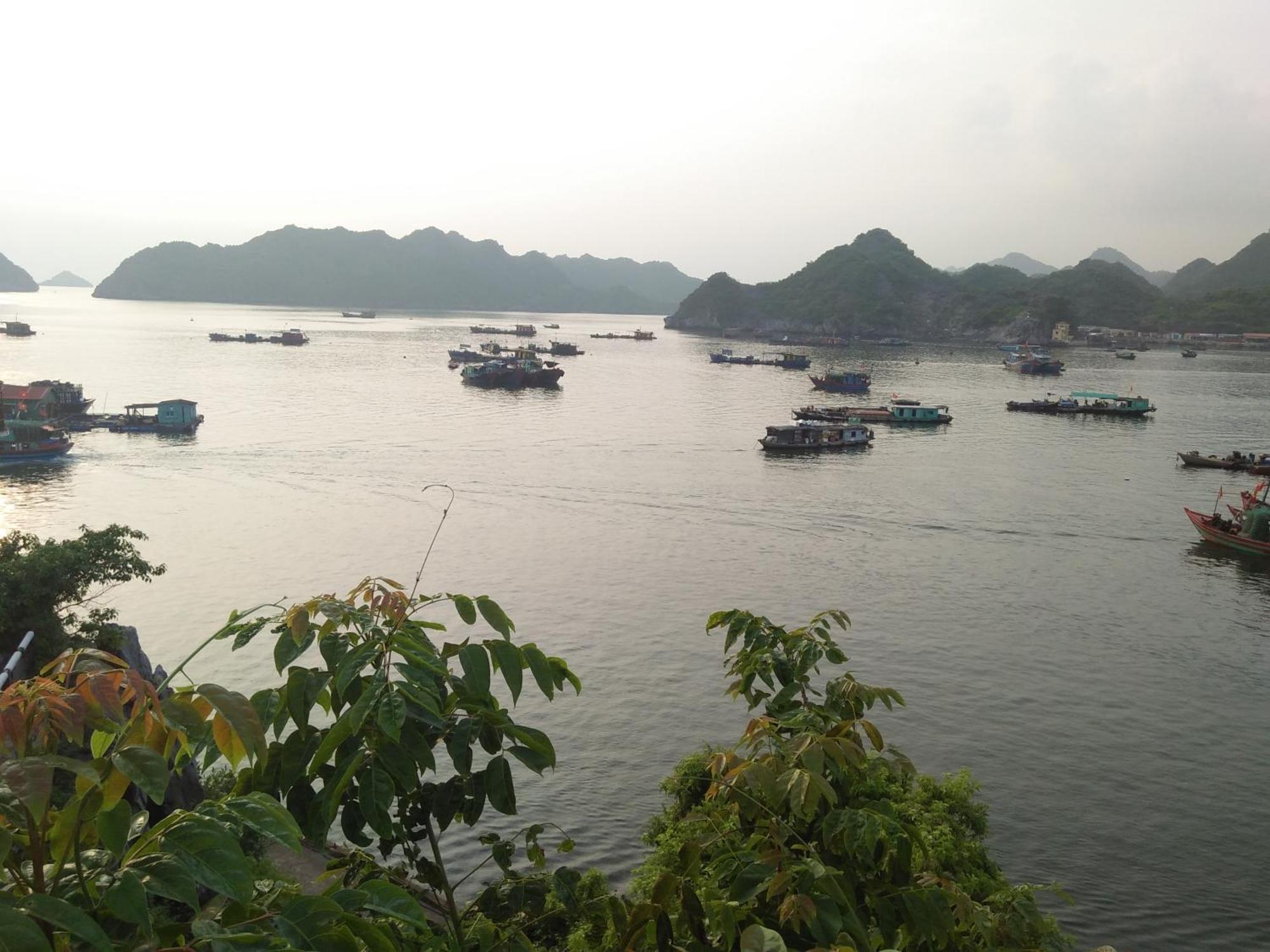 Cat Ba Victory Hostel Dong Khe Sau Buitenkant foto